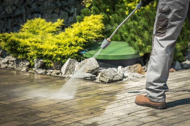Best Boat and Dock Cleaning  in West Rancho Dominguez, CA