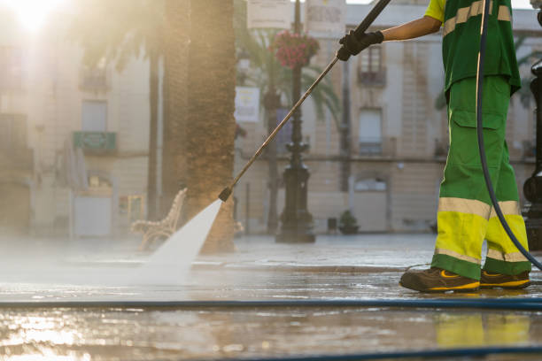 Best Solar Panel Cleaning  in West Rancho Dominguez, CA